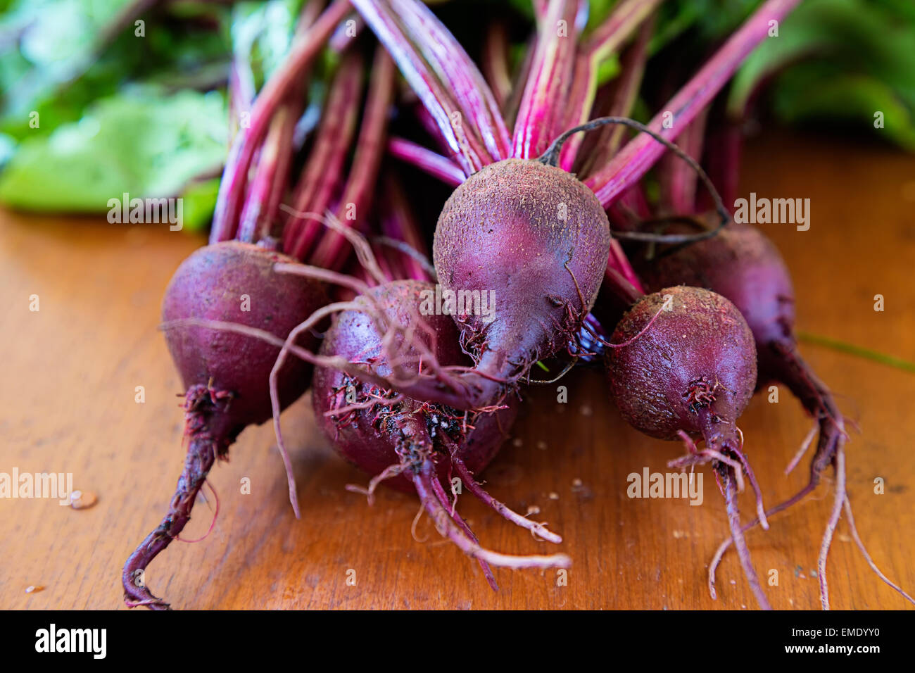 Les betteraves fraîches jardin sur une table en bois. Banque D'Images