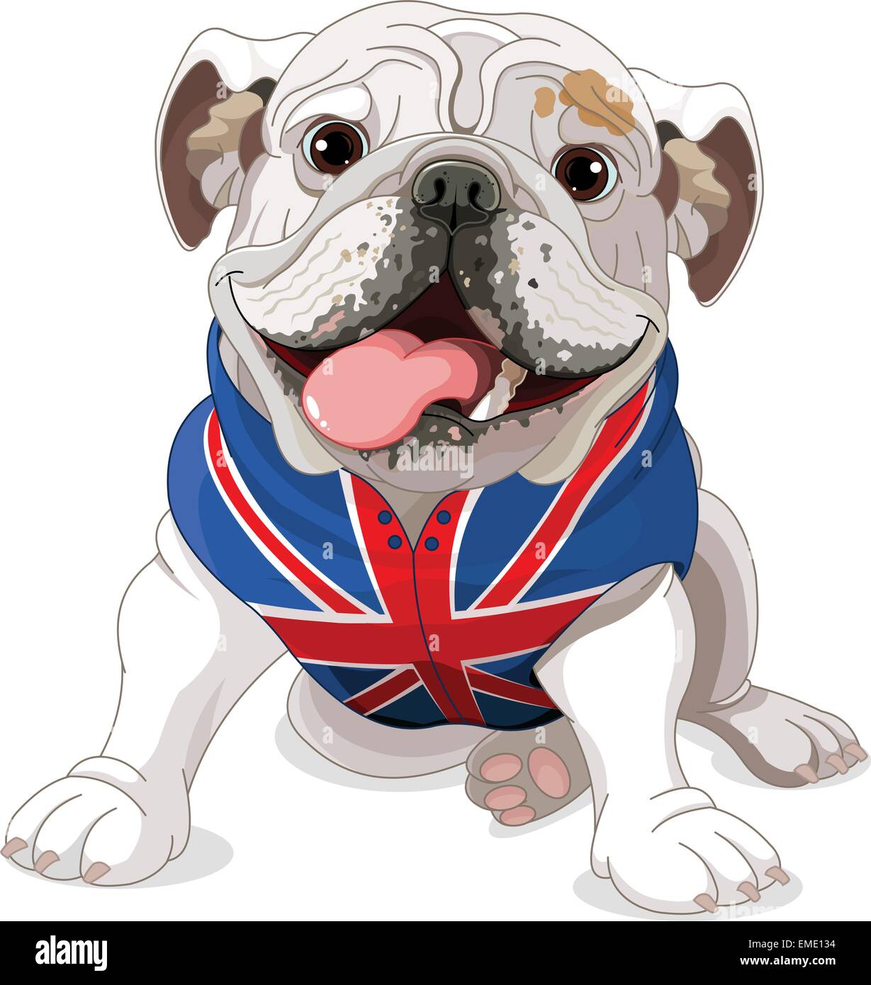 Bulldog with uk flag Banque de photographies et d'images à haute résolution  - Alamy