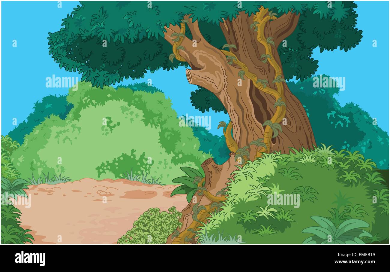 Arrière-plan de la forêt tropicale Illustration de Vecteur