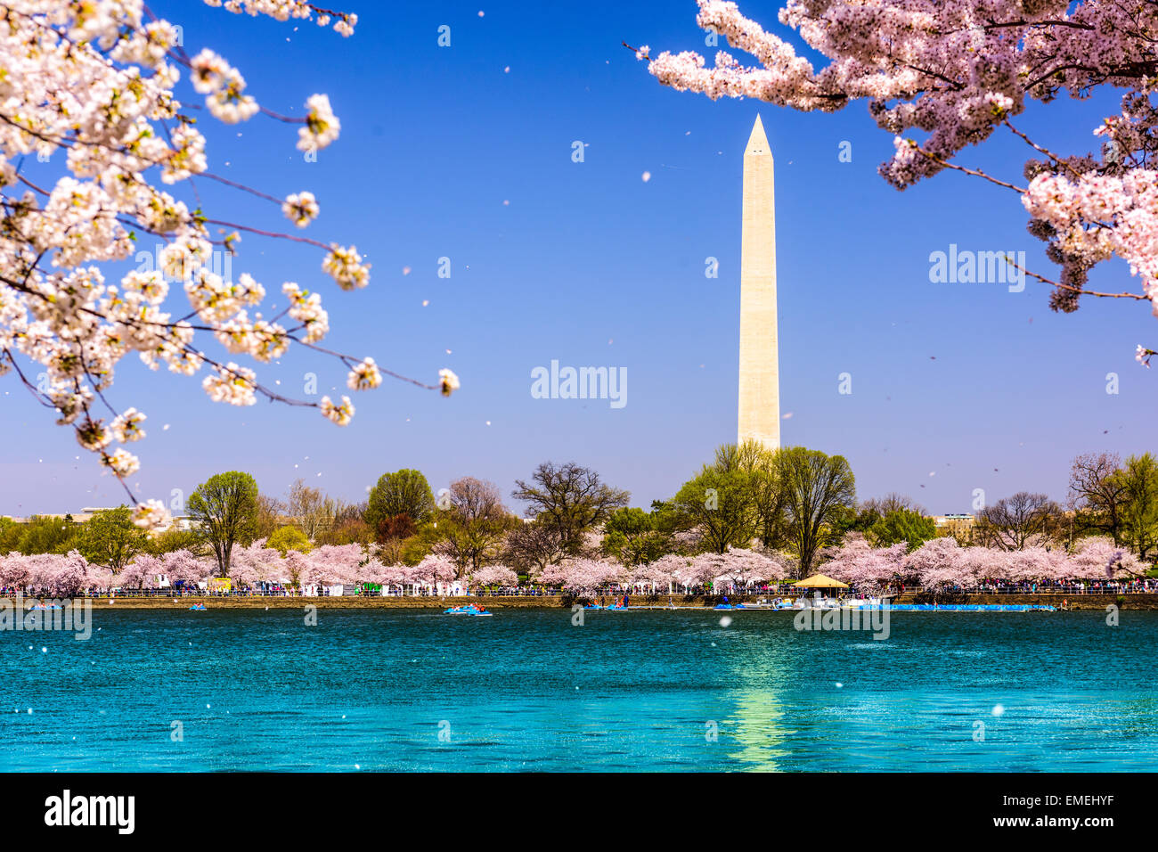 Washington, D.C. Washington Monument au printemps. Banque D'Images
