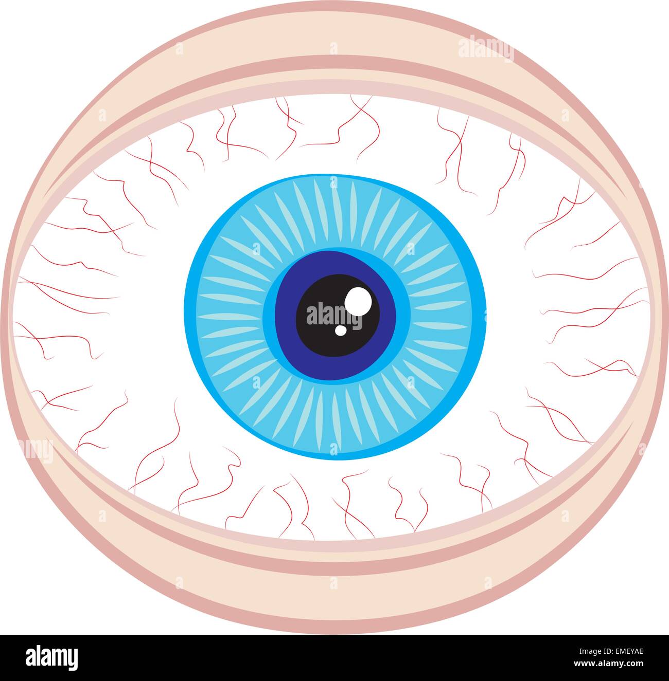 Concept de sécurité oculaire large Illustration de Vecteur