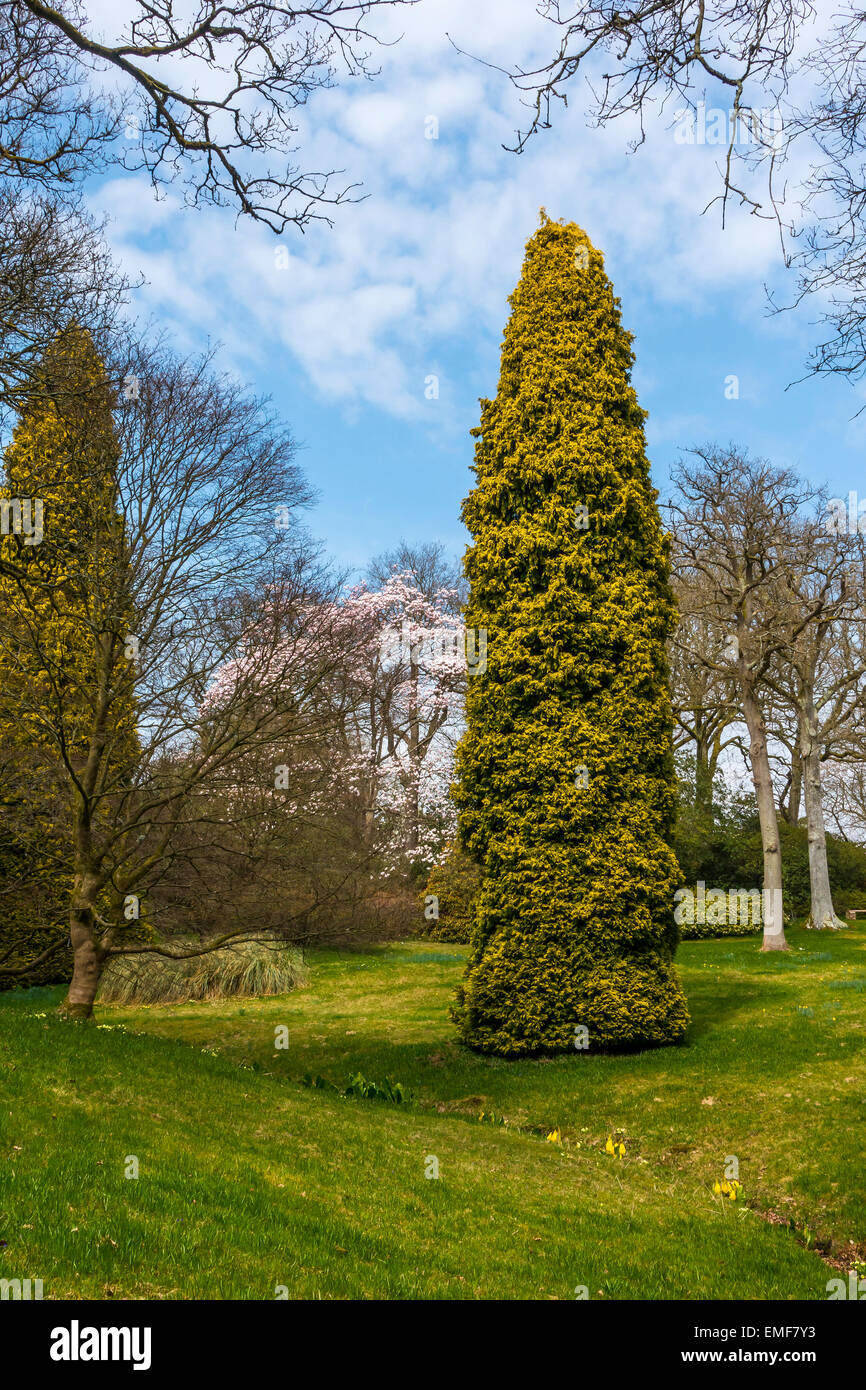 High Beeches Garden Handcross West Sussex UK en Avril Banque D'Images