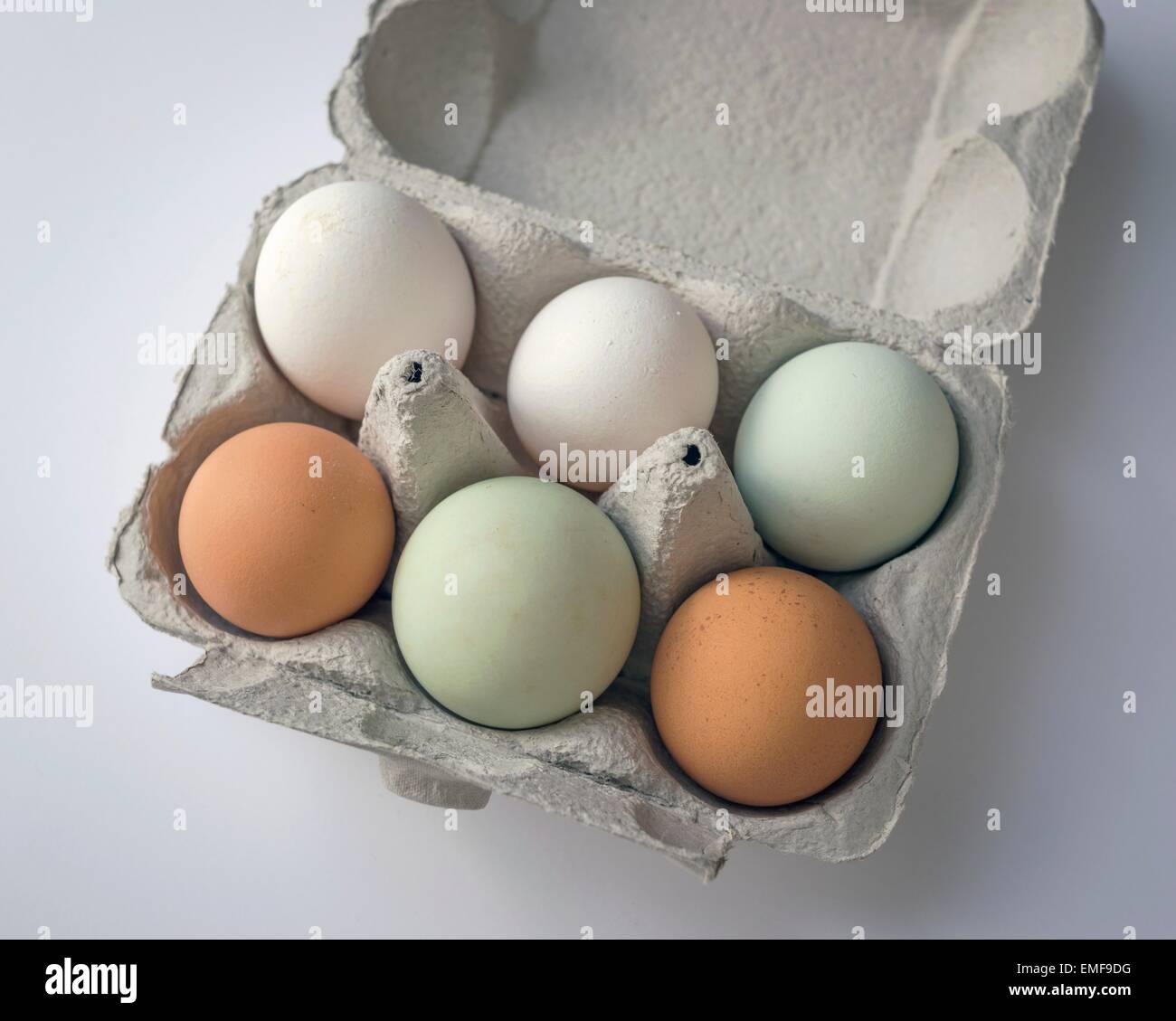 Six œufs (œufs de poule 5 et 1 oeufs de canard) de différentes couleurs et tailles Banque D'Images