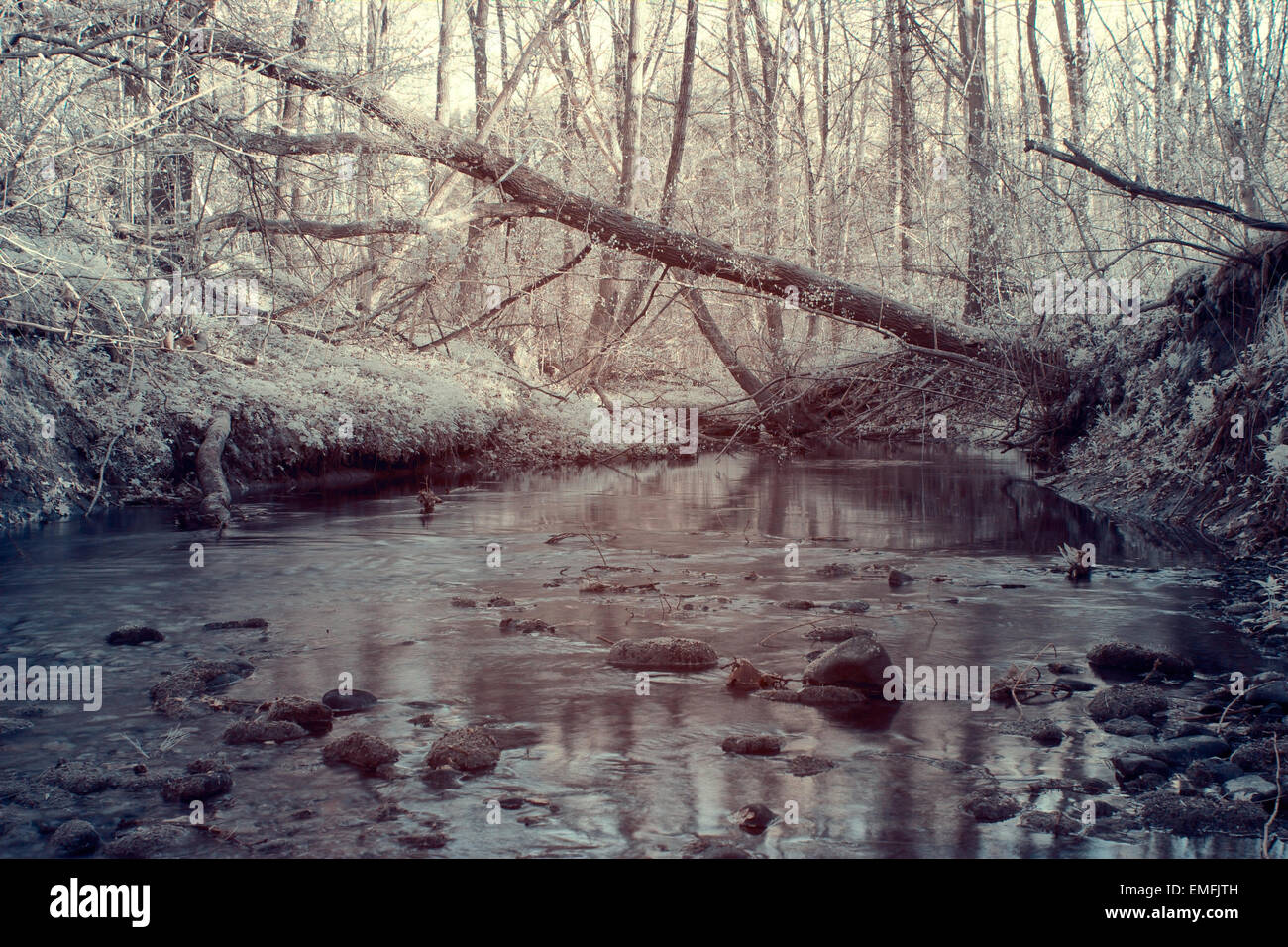 La photographie à infrarouge, une petite rivière dans une forêt au premier plan les rochers recouverts de moss Banque D'Images