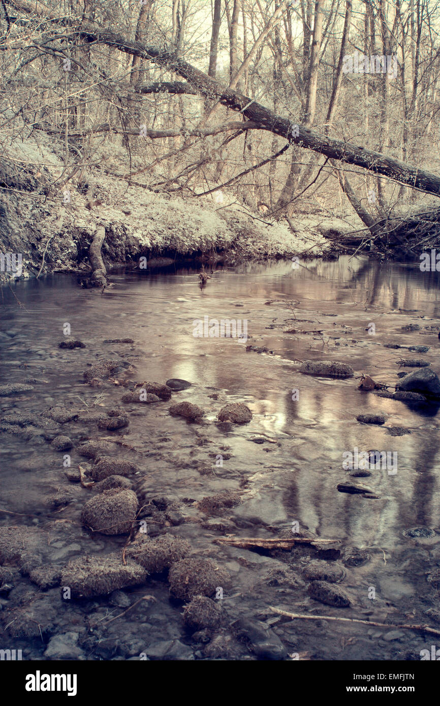 La photographie à infrarouge, une petite rivière dans une forêt au premier plan les rochers recouverts de moss Banque D'Images