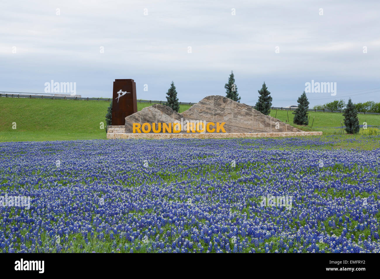 Bluebonnets fleurit au Round Rock, Texas City limits sign Banque D'Images