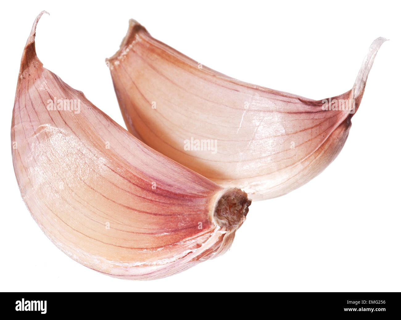 Gousses d'isolé sur fond blanc. Banque D'Images