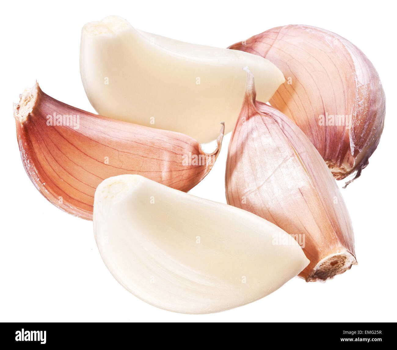 Beaucoup de gousses d'isolé sur fond blanc. Banque D'Images