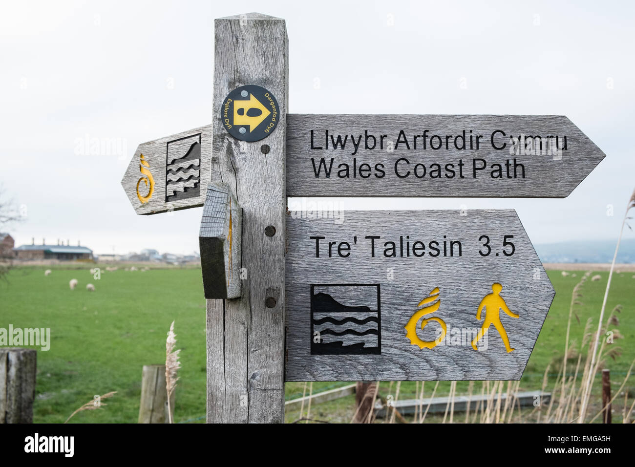 Fingerpost, panneau,orientations pour le pays de Galles Coast Path. La gare de Borth dans la distance.Location Arrière-pays pour le programme TV de la BBC Banque D'Images