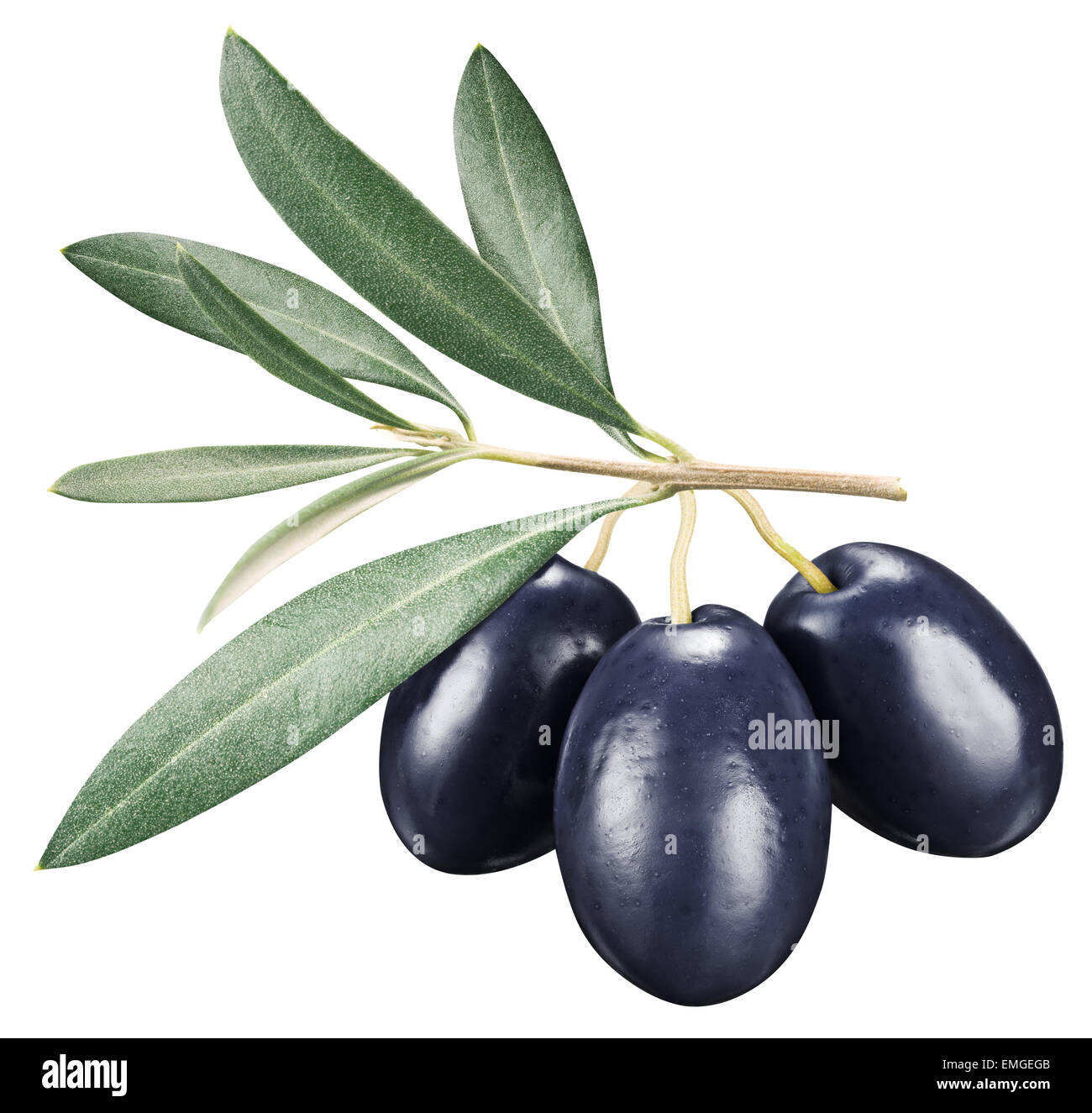Olives noires avec des feuilles sur un fond blanc. Fichier contient des chemins de détourage. Banque D'Images