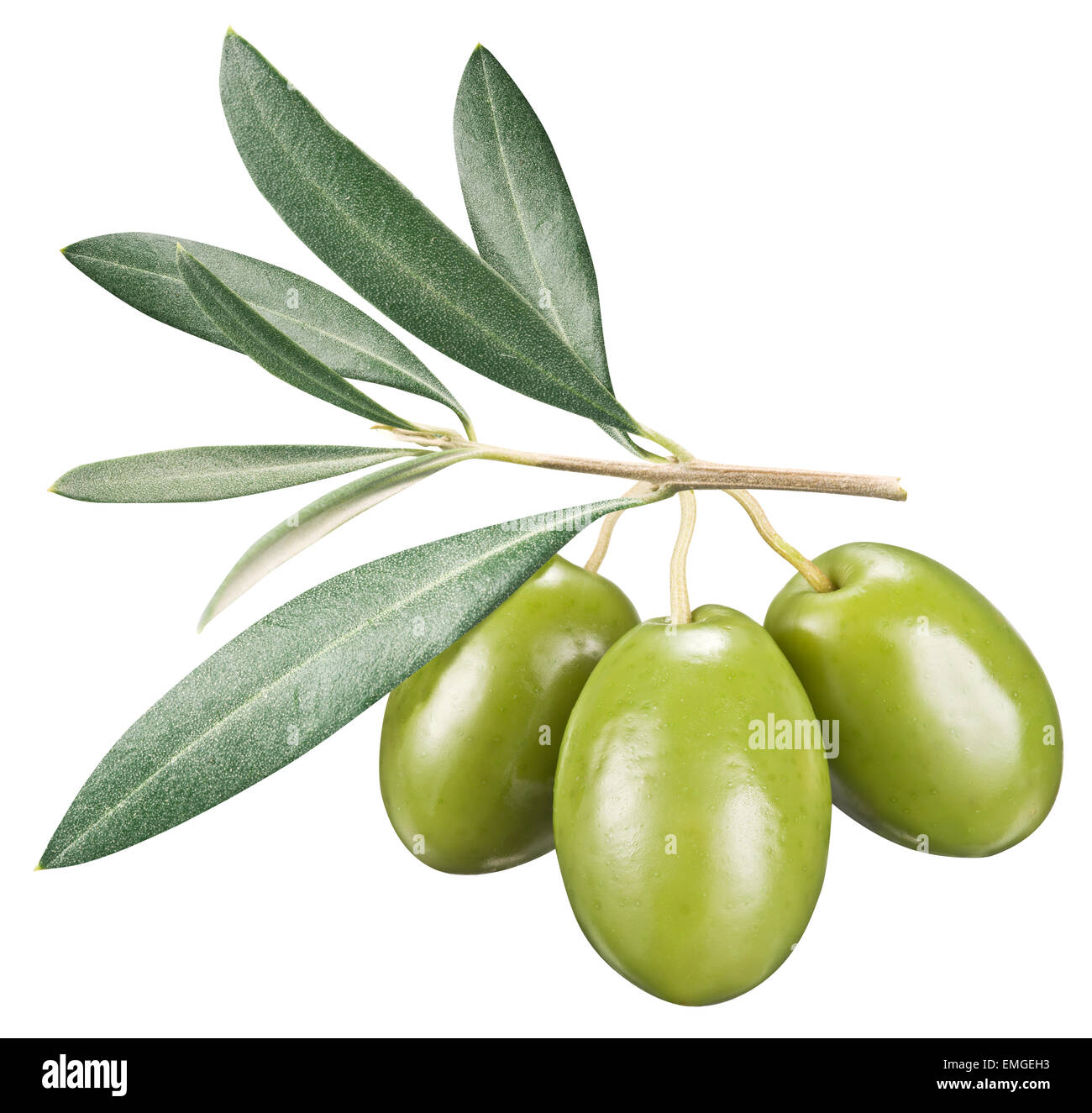 Olives vertes avec des feuilles sur un fond blanc. Fichier contient des chemins de détourage. Banque D'Images