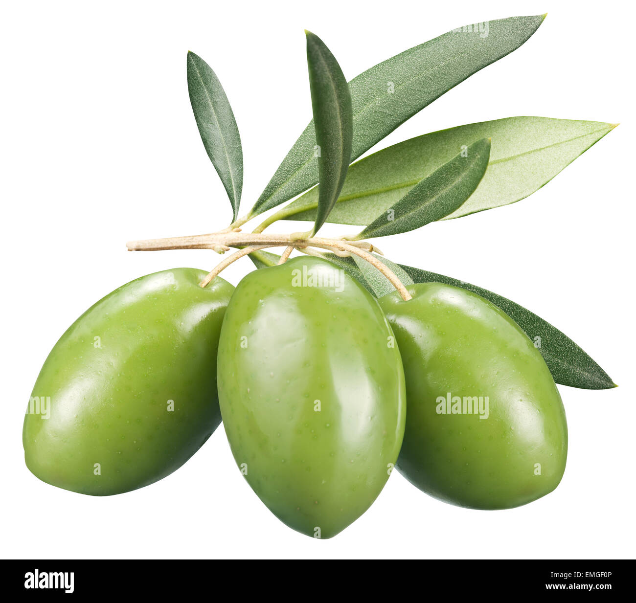 Olives vertes avec des feuilles sur un fond blanc. Fichier contient des chemins de détourage. Banque D'Images