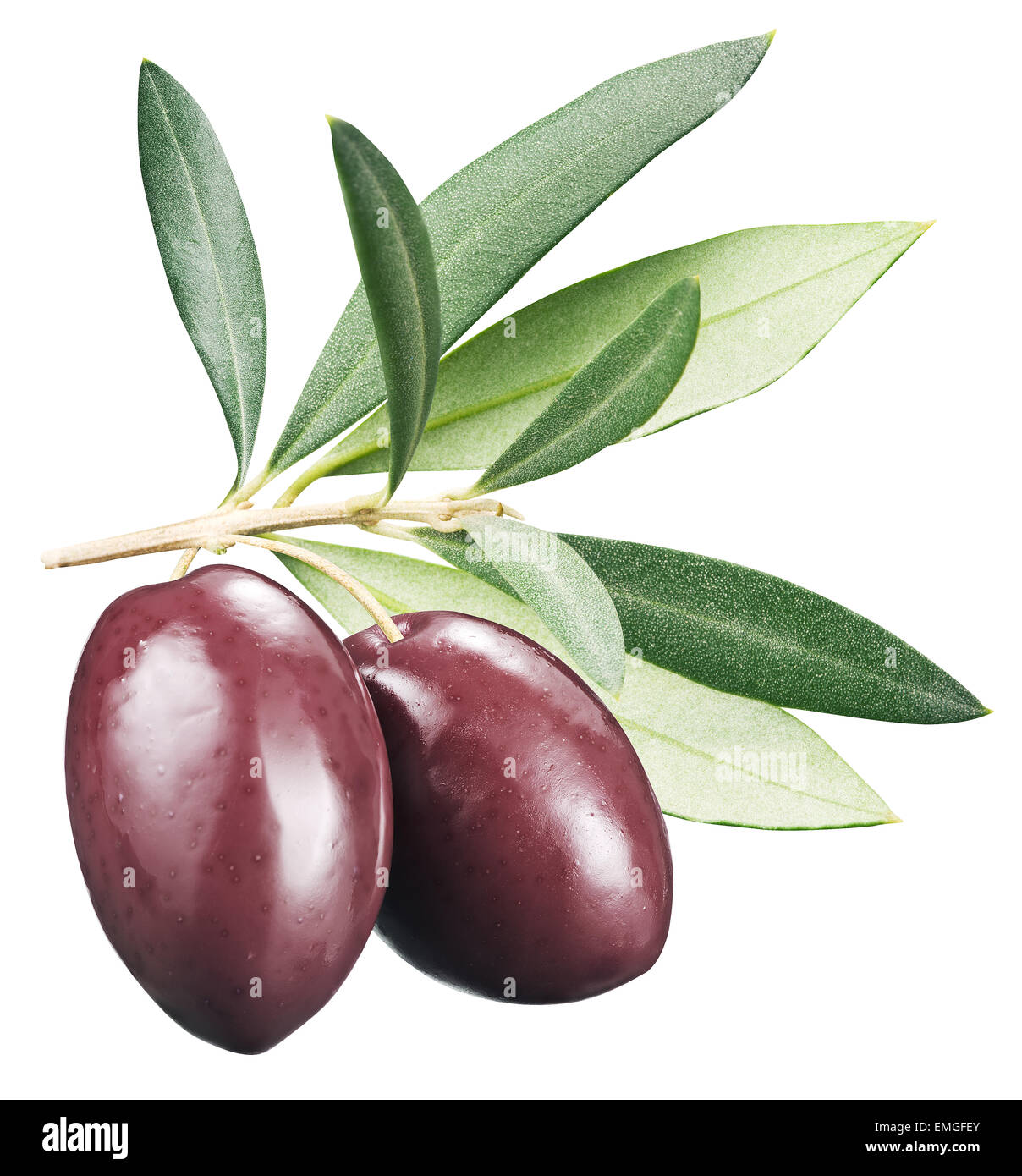 Olives Kalamata avec des feuilles sur un fond blanc. Fichier contient des chemins de détourage. Banque D'Images