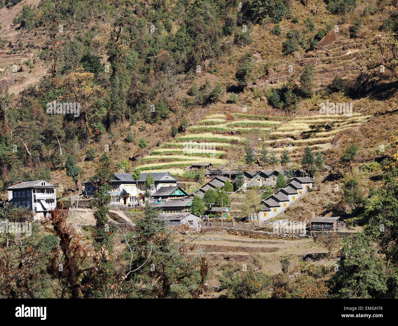 Les champs en terrasses l'agriculture de subsistance Village Lukla au Népal Asie Banque D'Images