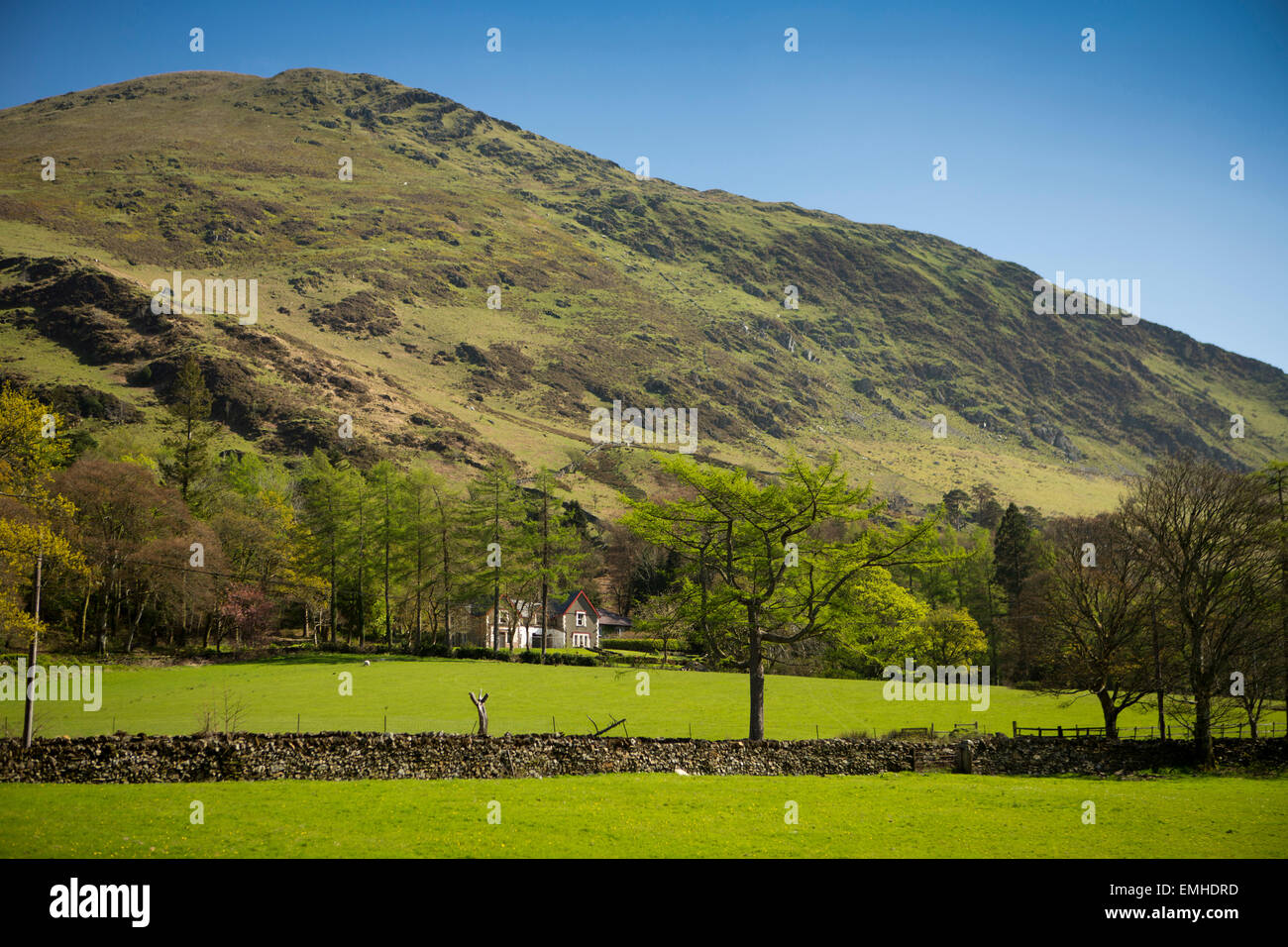 Royaume-uni, Pays de Galles, Gwynedd, Welsh Mountain Railway, Snowdonia, vue sur Foel Gron de la Banque D'Images