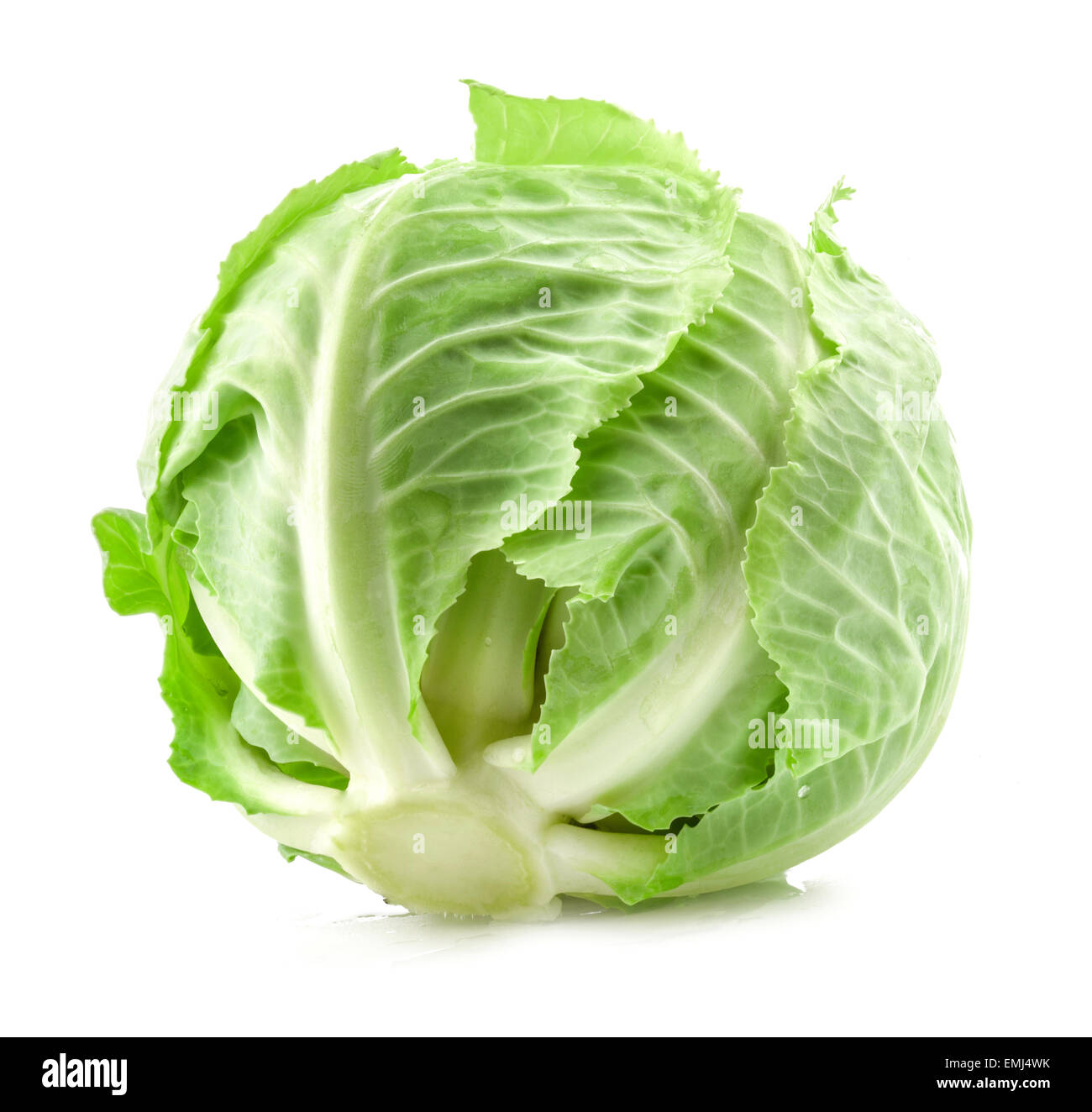 Chou vert isolé sur fond blanc Banque D'Images