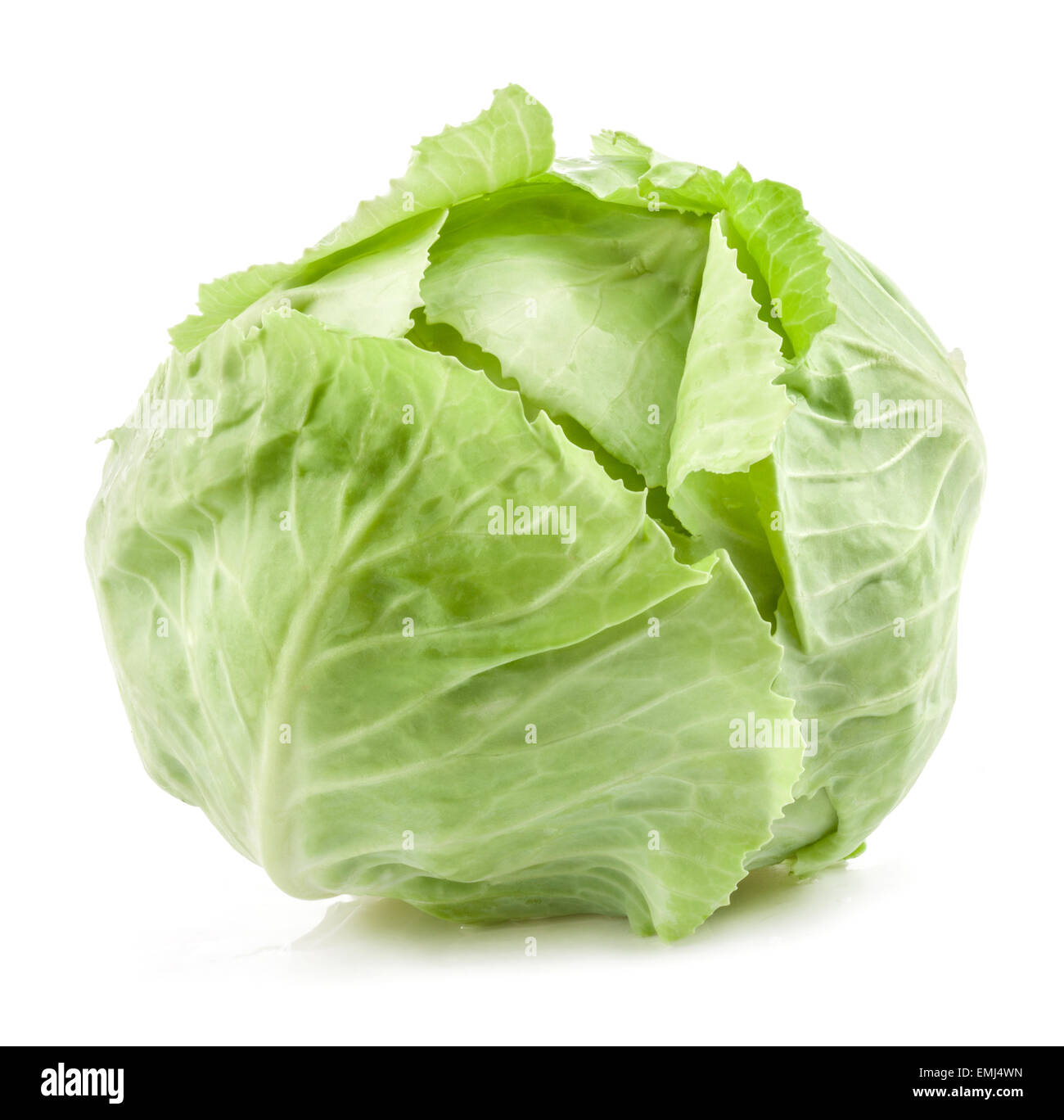 Chou vert isolé sur fond blanc Banque D'Images