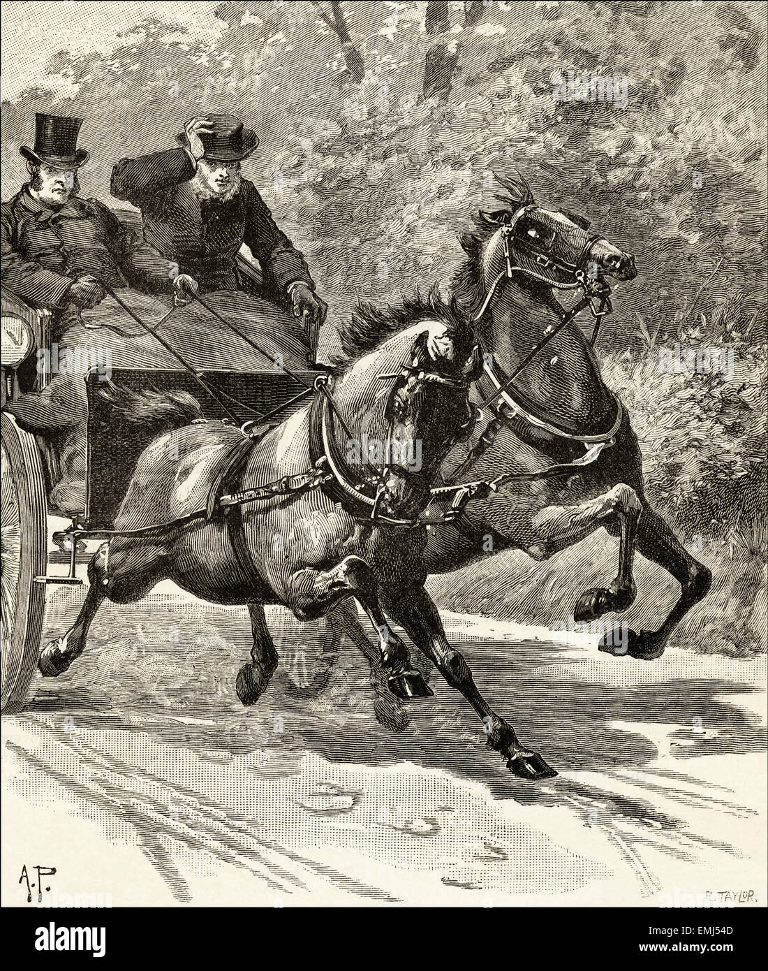 Chevaux au galop avec transport. La gravure sur bois victorien du 1890 Banque D'Images