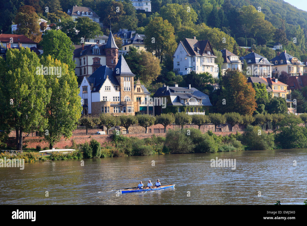 Allemagne Baden-Württemberg Heidelberg Neckar maisons de Barques Banque D'Images