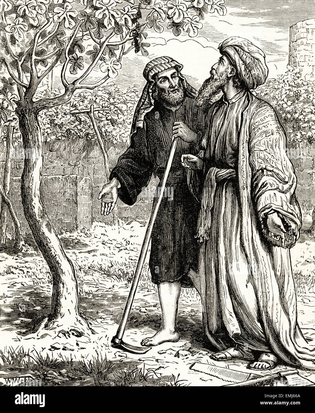 Jardiniers à la recherche à un figuier en Terre Sainte, au Moyen-Orient. La gravure sur bois victorien du 1890 Banque D'Images