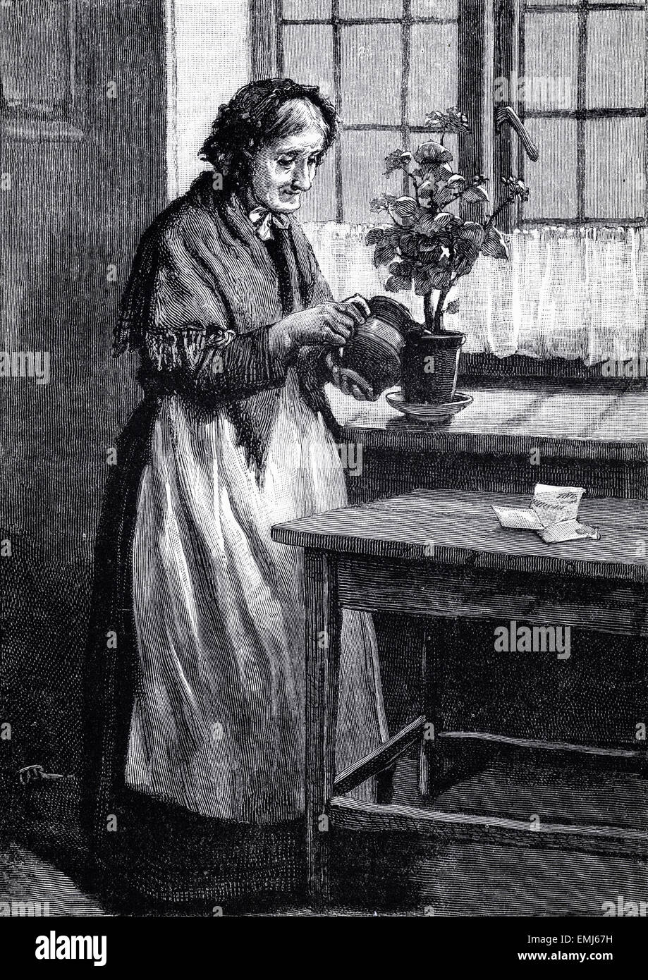 Vieille dame arrosage de plantes en pot sur le rebord de fenêtre à la maison. La gravure sur bois victorien du 1890 Banque D'Images