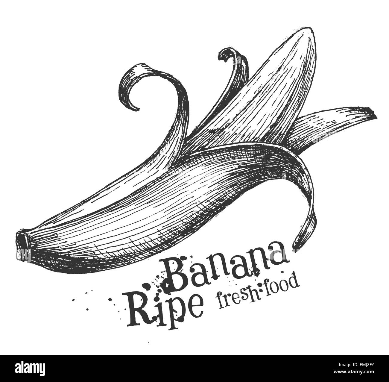 Banana sur un fond blanc. croquis Banque D'Images