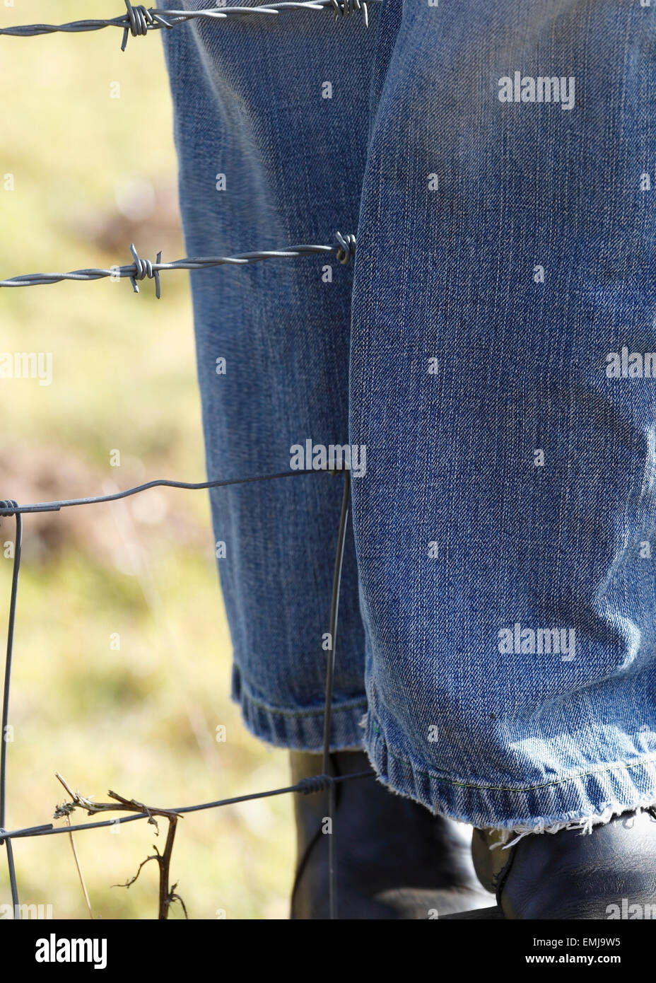 La femme en bleu jeans grimpant sur une clôture de barbelés sur un pays de marche. Banque D'Images