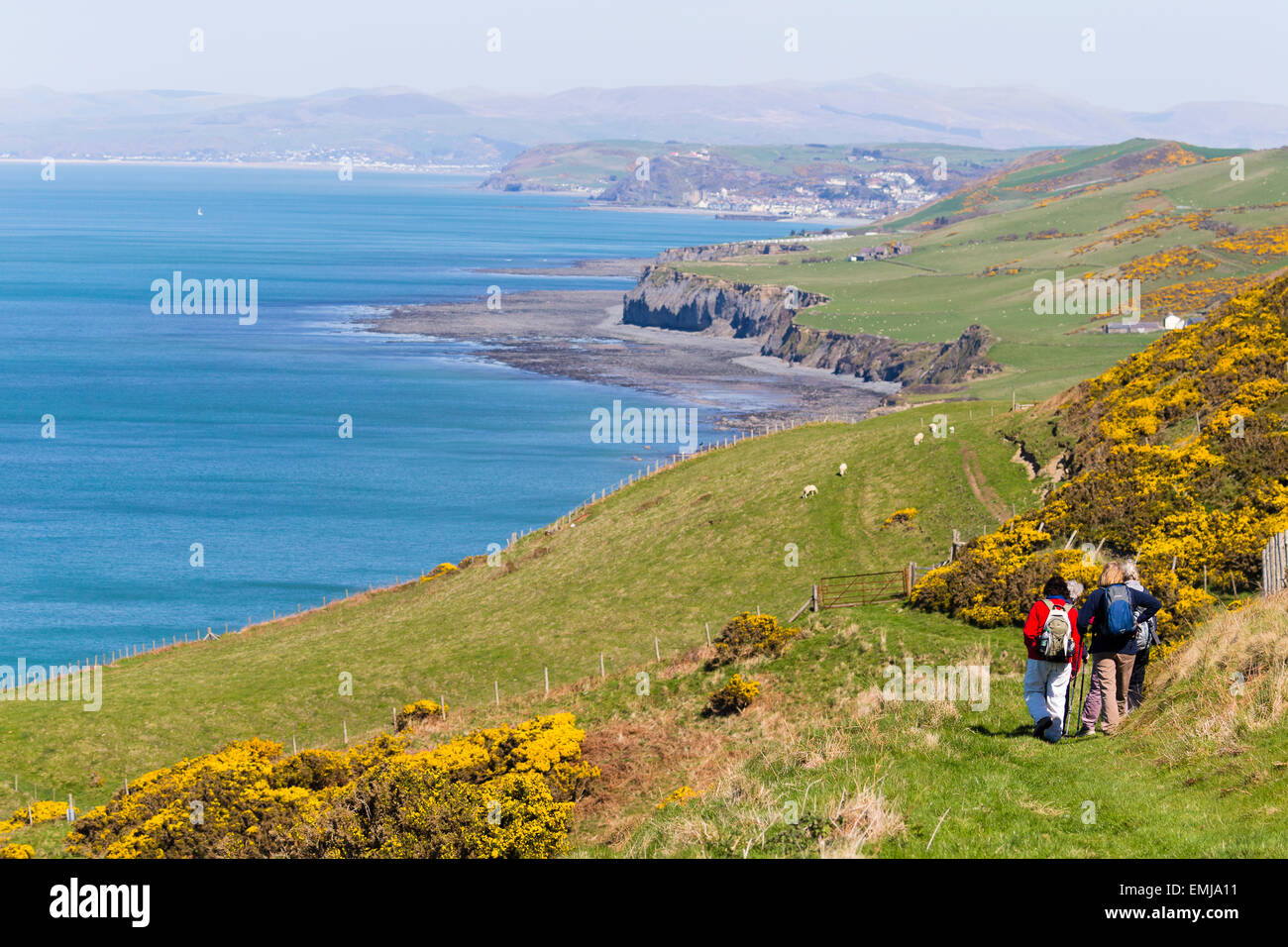 Les promeneurs sur le chemin côtier de Ceredigion direction nord vers Aberystwyth et Borth Banque D'Images