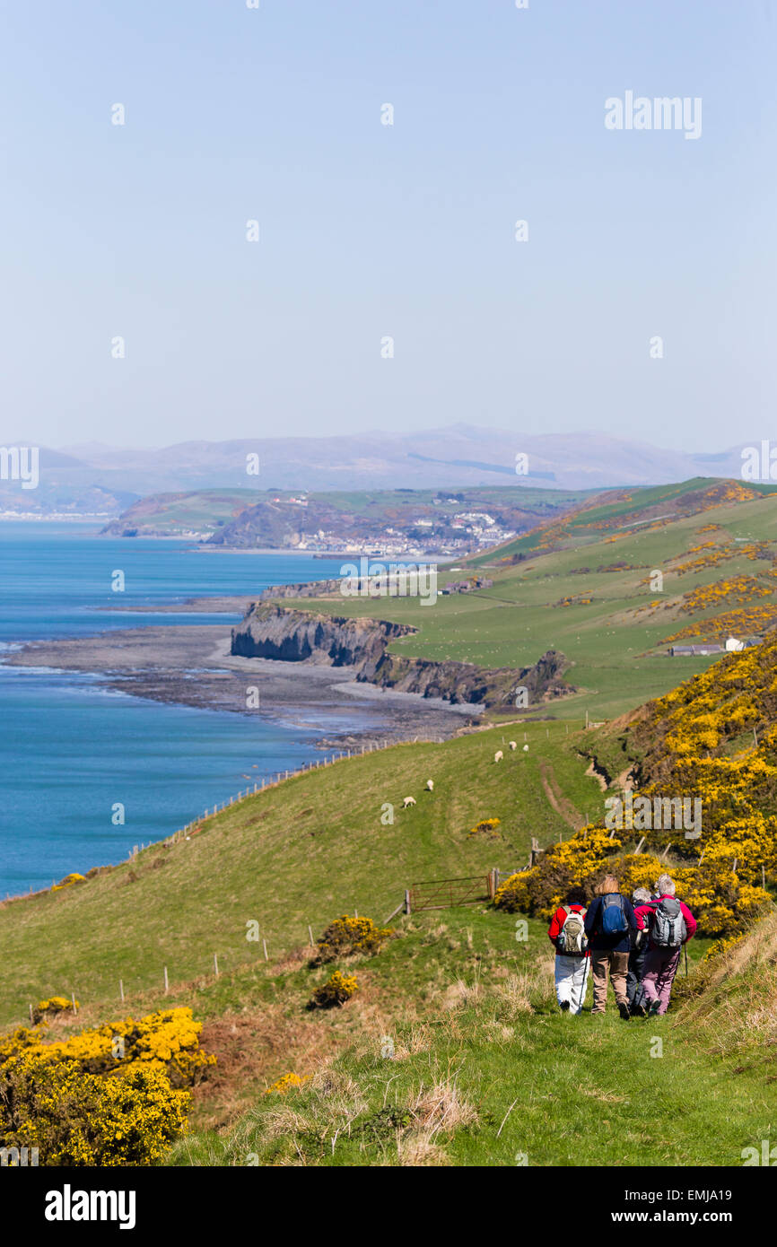 Les promeneurs sur le chemin côtier de Ceredigion direction nord vers Aberystwyth et Borth Banque D'Images