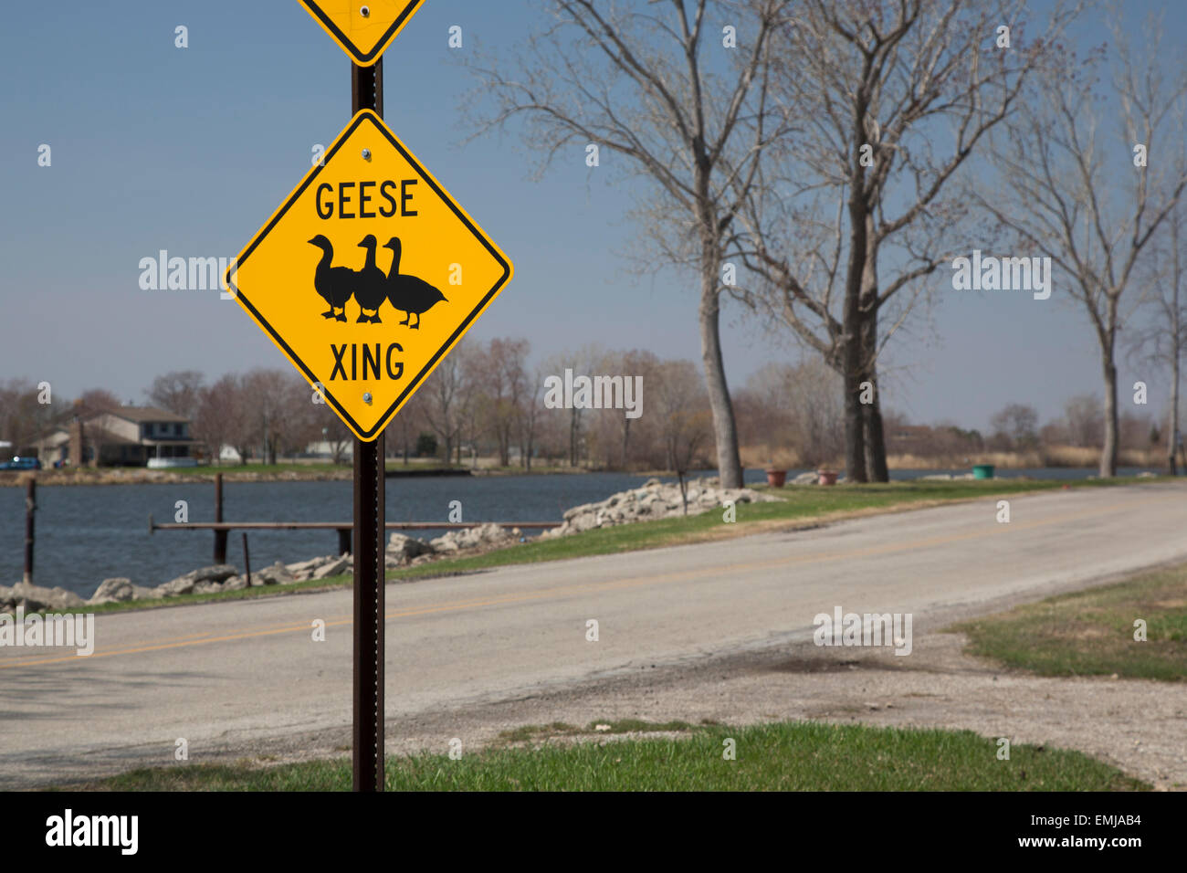 Monroe, Michigan - un signe met en garde les automobilistes à regarder pour les oies traversent la route. Banque D'Images