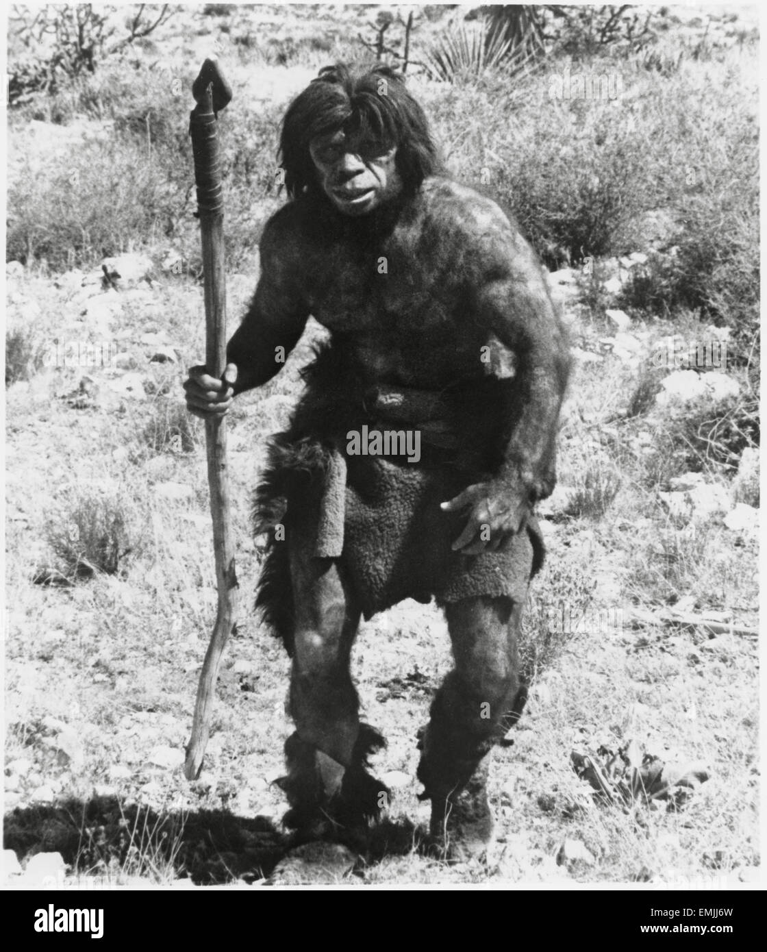 Caveman, Portrait publicitaire, sur-ensemble du documentaire "jusqu'à partir de l'Ape" (aka l'animal à l'intérieur), 1975 Banque D'Images