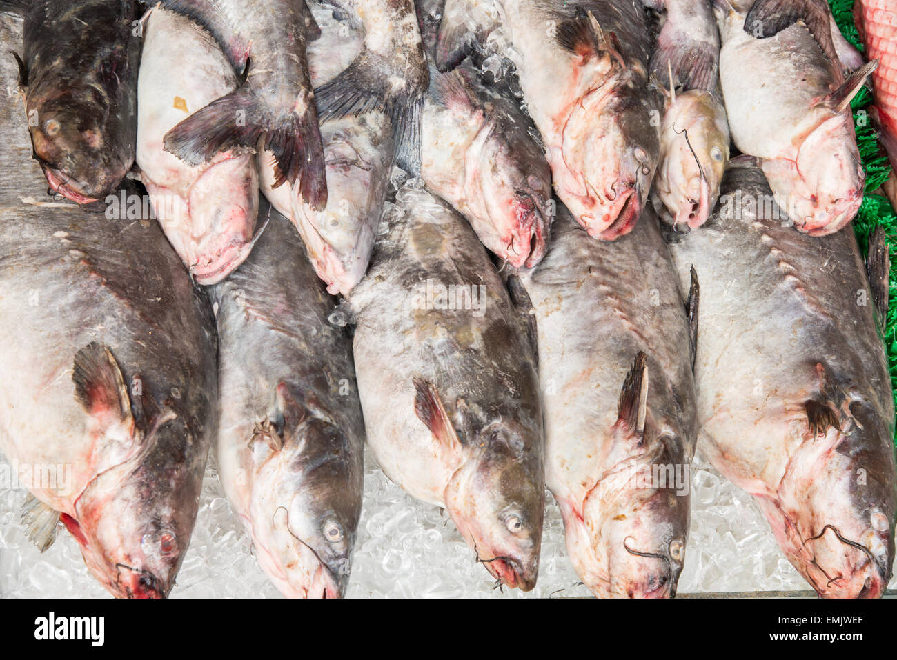 Marché de fruits de mer Banque D'Images