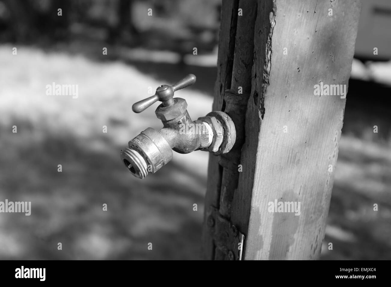 Close up de l'eau robinet Chênaie camping situé dans la forêt nationale de Cleveland, en Californie Banque D'Images