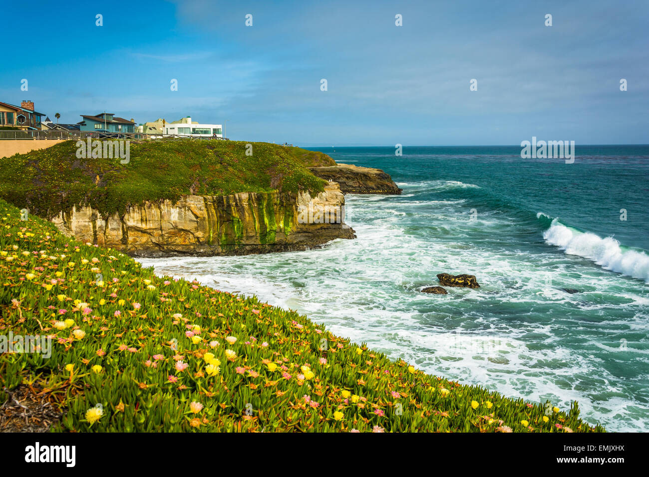 Vue de falaises surplombant l'océan Pacifique à Santa Cruz, en Californie. Banque D'Images