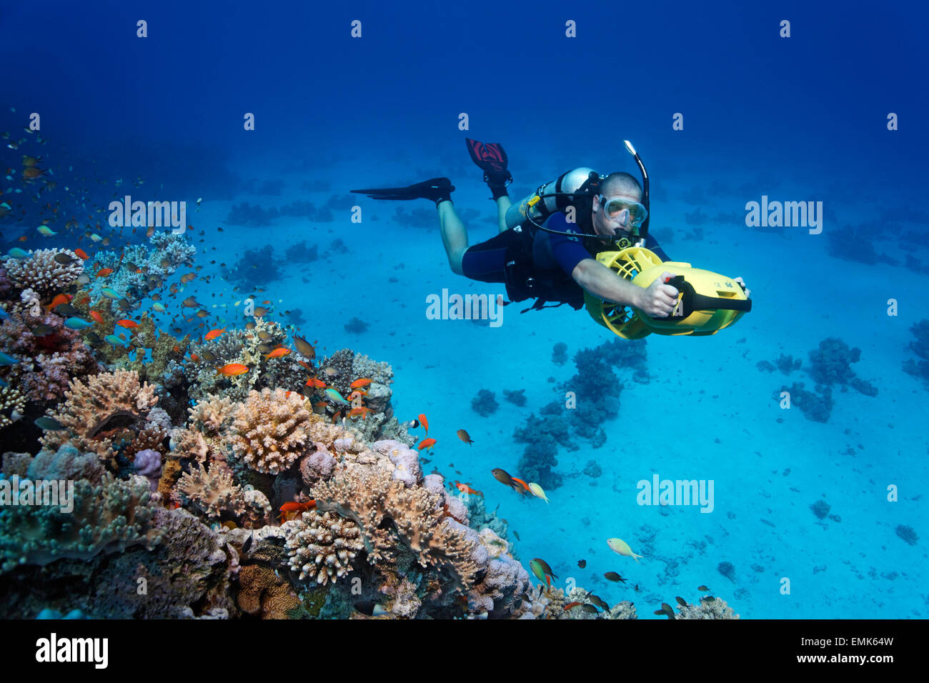Avec un plongeur plongeur véhicule propulsion explorer un récif de corail, Soma Bay, Hurghada, Egypte, Mer Rouge Banque D'Images