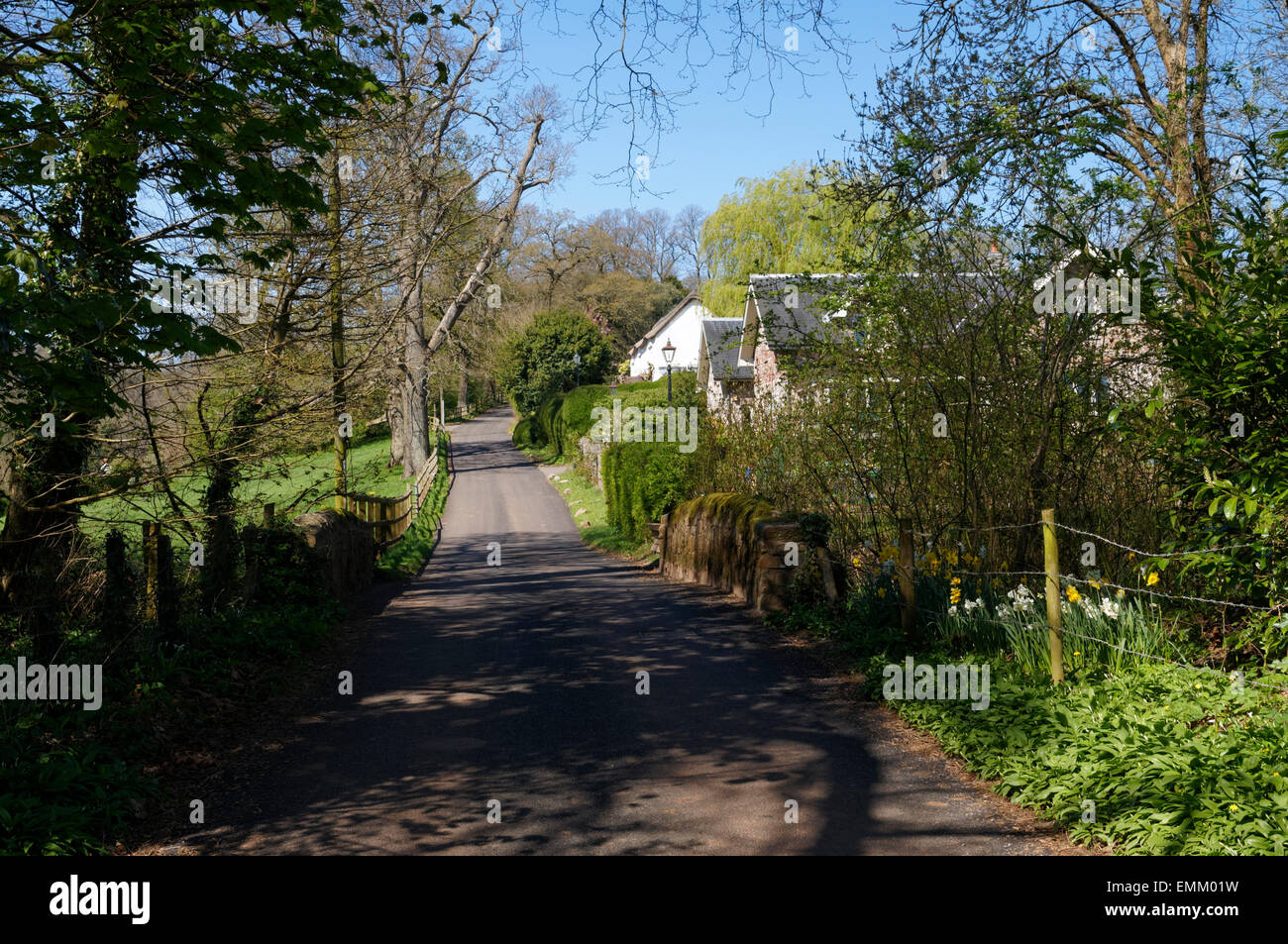 Country lane, Michaelston Le Pit, Vale of Glamorgan, Pays de Galles, Royaume-Uni. Banque D'Images