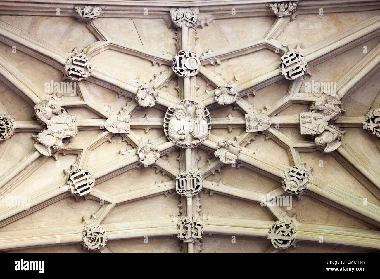 'Divinity School' plafond détail [Bodleian Library], Oxford, England, UK Banque D'Images