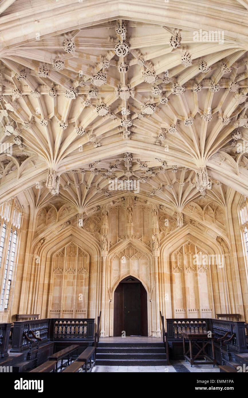 Vue de l'intérieur de l'école', 'Divinity [Bodleian Library], [l'Université d'Oxford], Oxford, Angleterre, Royaume-Uni Banque D'Images