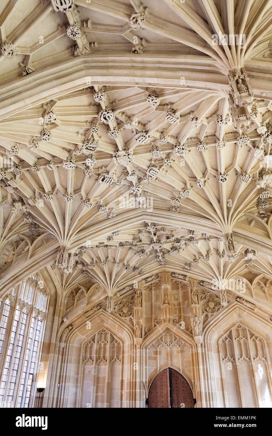 L'architecture gothique à l'intérieur de l'école', 'Divinity [Bodleian Library], [université d'Oxford], Oxford, Angleterre, Royaume-Uni Banque D'Images