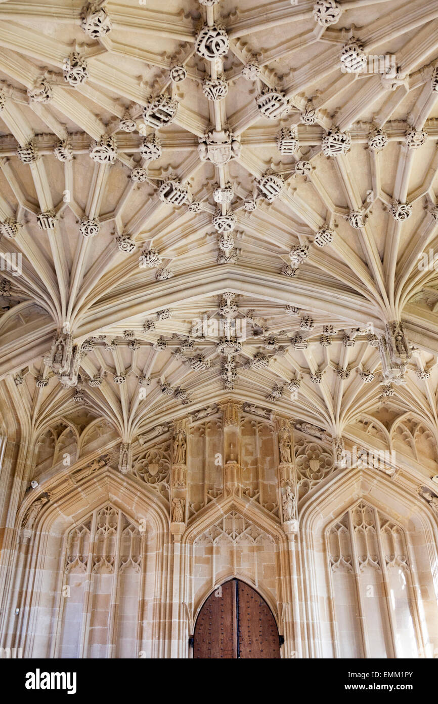 'Divinity School' et de l'intérieur, plafond [Bodleian Library], [l'Université d'Oxford], Oxford, Oxfordshire, England, UK Banque D'Images