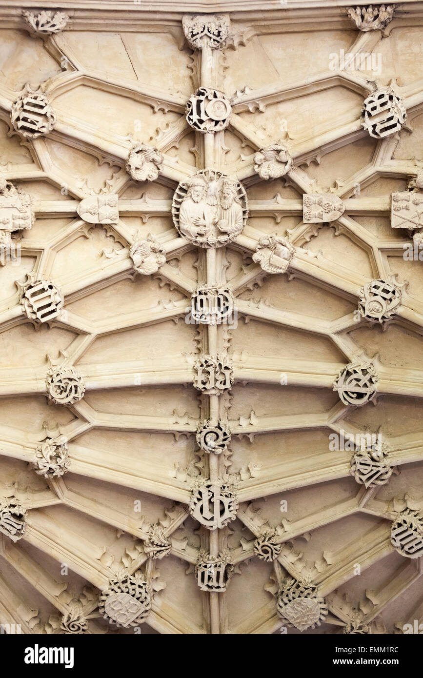 'Divinity School', [plafond] Bodleian Library, Oxford, England, UK Banque D'Images