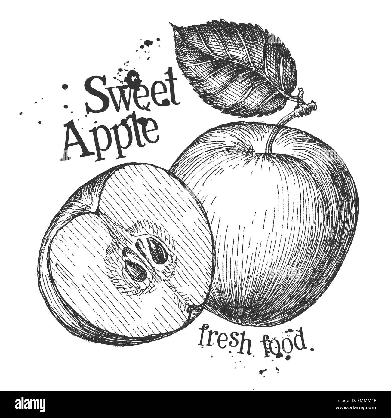 Pomme sur un fond blanc. croquis Banque D'Images