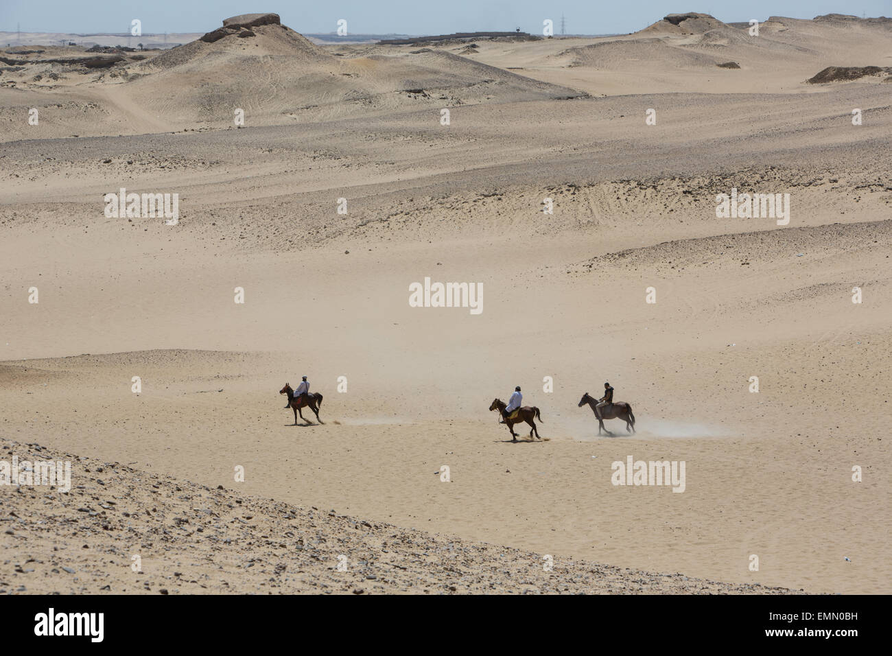 Chevaux et cavaliers dans le désert à côté des pyramides de Gizeh, à Gizeh, près du Caire, Egypte, Afrique. Banque D'Images
