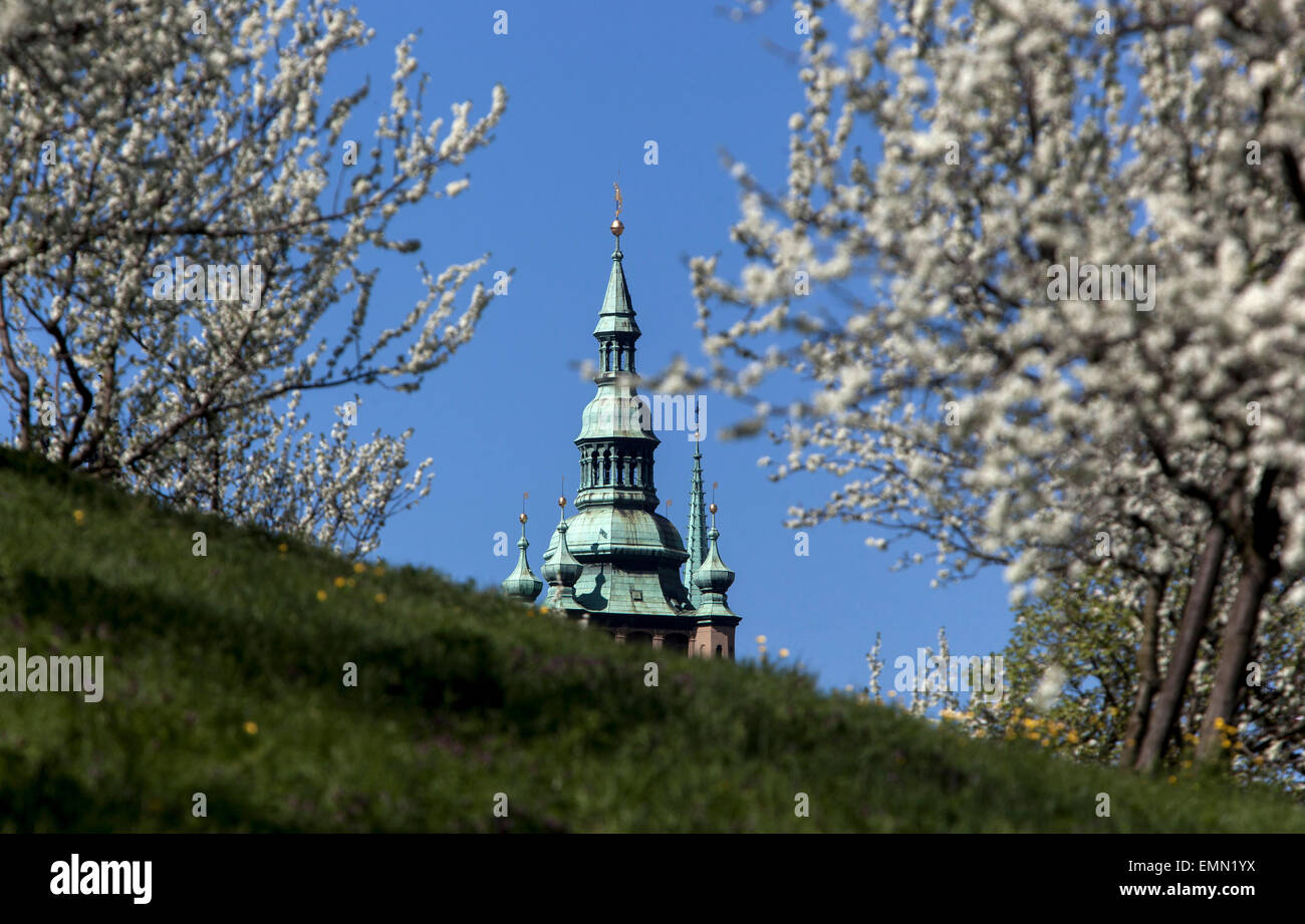 Château de Prague vue sur le printemps Cathédrale Spire de Petrin Hill Park Printemps de Prague, République Tchèque Banque D'Images