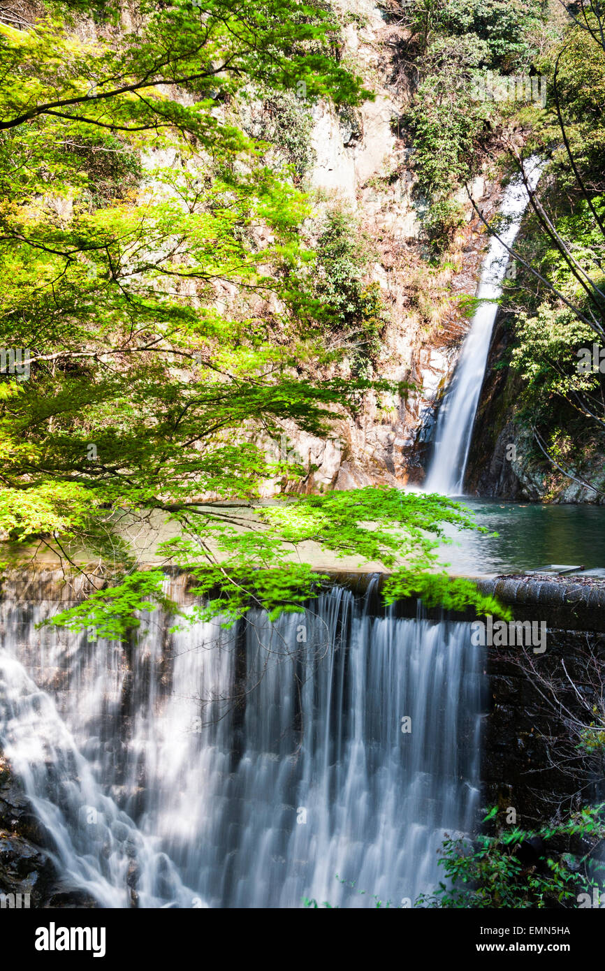 Célèbre beauty spot à Kobe, l'Nunobiki cascades. À la base du Men-taki waterfall l'eau coule sur une fiche. Le printemps. Banque D'Images