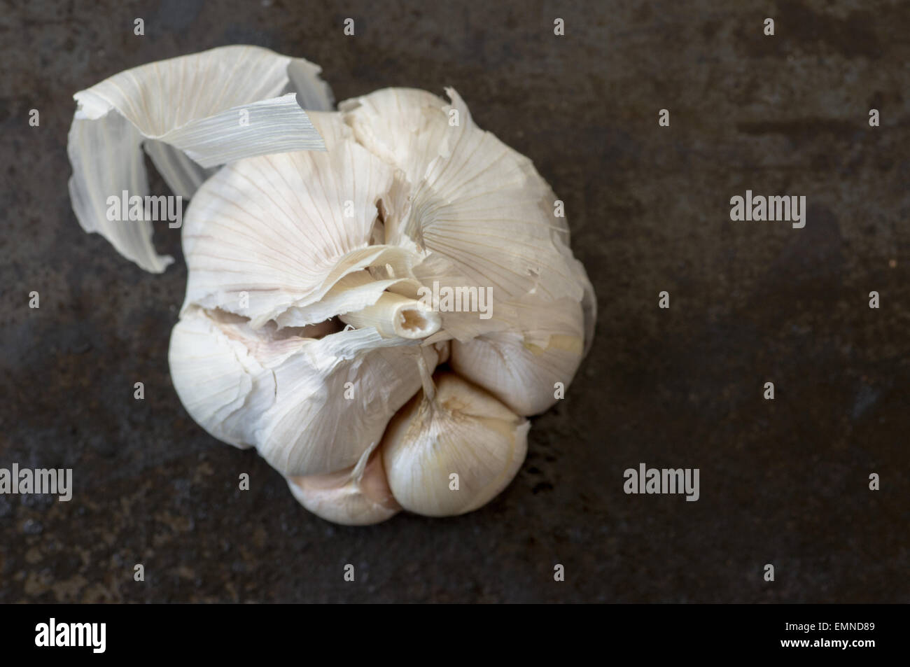 Une grosse tête d'ail sur fond noir Vue de dessus Banque D'Images
