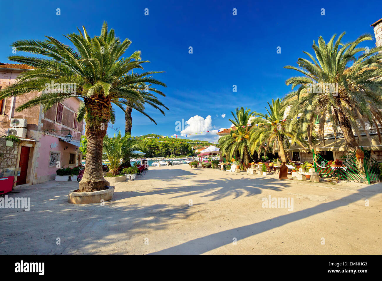 Stari Grad sur l'île de Hvar, Dalmatie, waterfront palm Croatie Banque D'Images