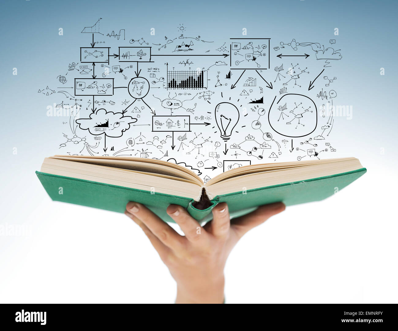 Close up of female hand holding open book Banque D'Images