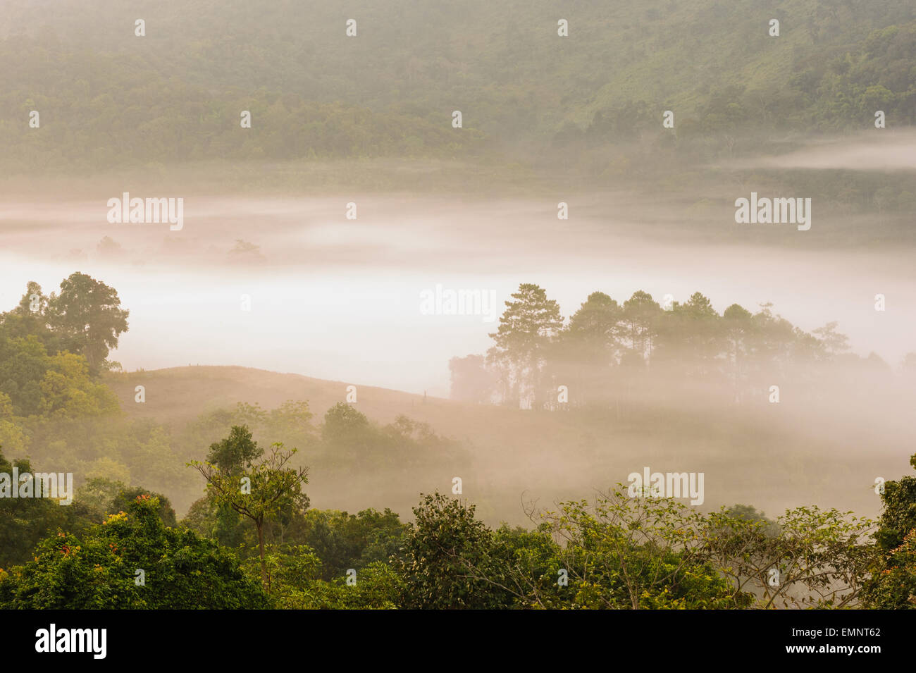 Beau lever de soleil brumeux sur le brouillard de la forêt tropicale, au nord de la Thaïlande. Banque D'Images Beau lever de soleil brumeux sur le brouillard de la forêt tropicale, au nord de la Thaïlande. Banque D'Images