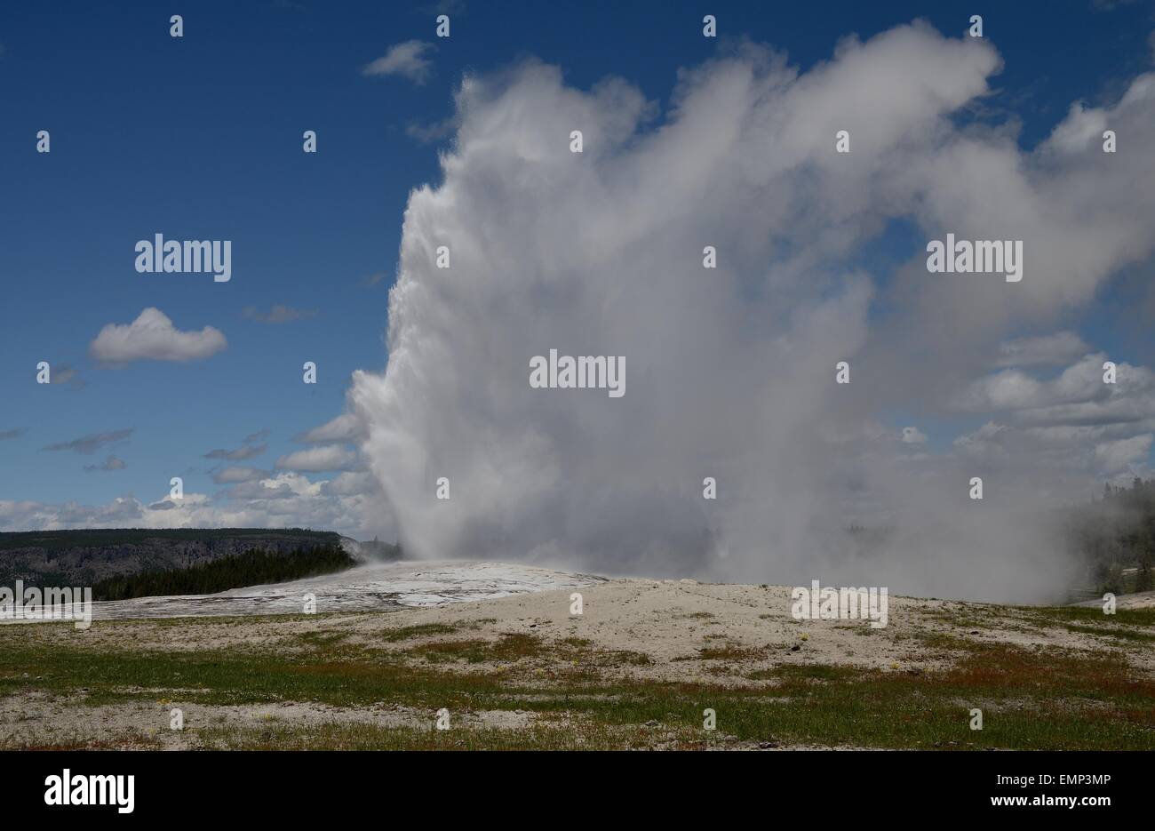 Old Faithful Geyser, Yellowstone National Park Banque D'Images